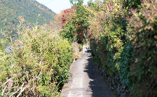 工房 藍の館